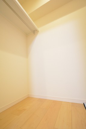 ハイネス小石川305　ウォークインクローゼット