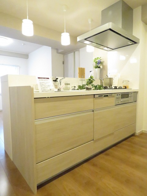 ダイアパレス都立大　キッチン