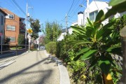 ニューウェルハイツ第1自由ヶ丘　九品仏側緑道