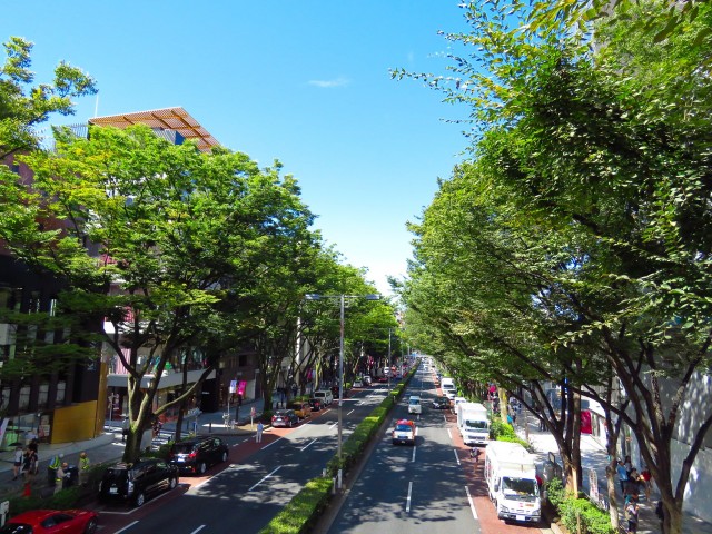 千駄ヶ谷第一スカイハイツ　表参道