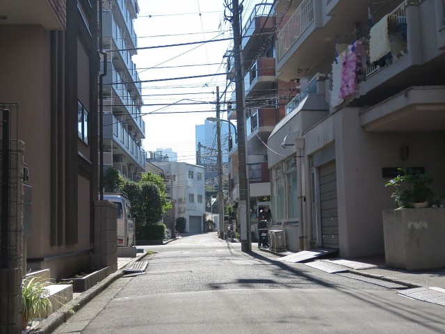 ドルミ東中野　前面道路