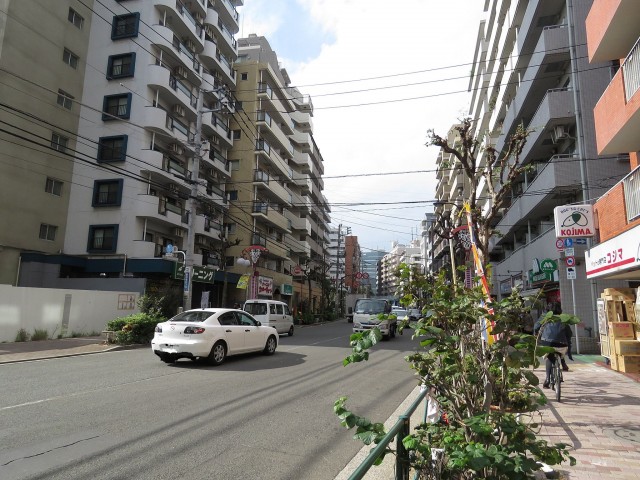 ライオンズマンション三軒茶屋第3　世田谷通り