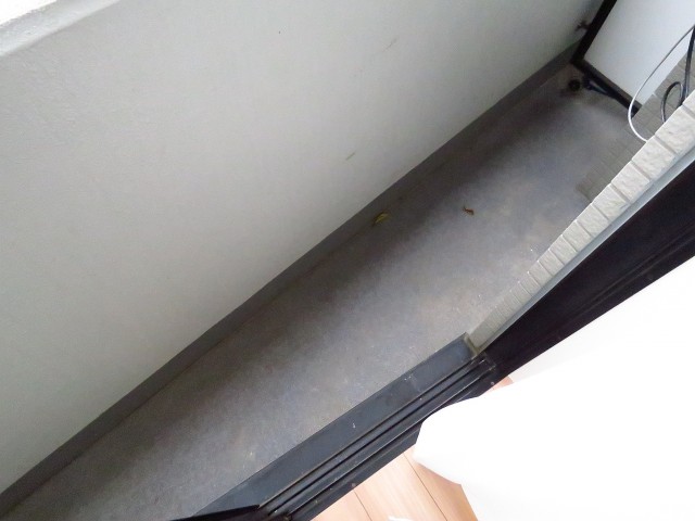 レックス神宮外苑　バルコニー