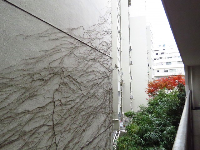 千駄ヶ谷第一スカイハイツ　洋室側バルコニー眺望