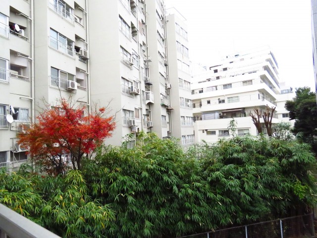 千駄ヶ谷第一スカイハイツ　LDK側バルコニー眺望