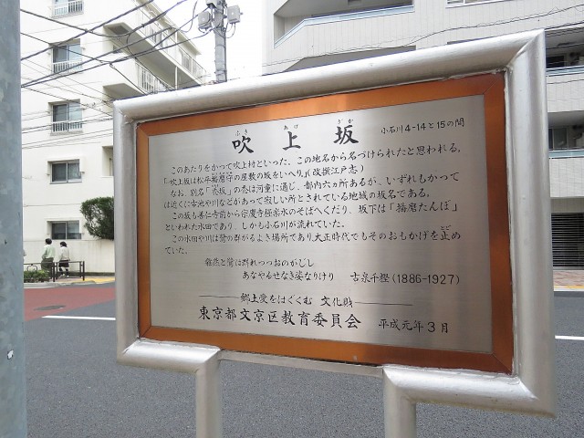 小石川ハウス　エントランス前通り