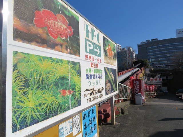 朝日ラ・パリオ四谷　周辺