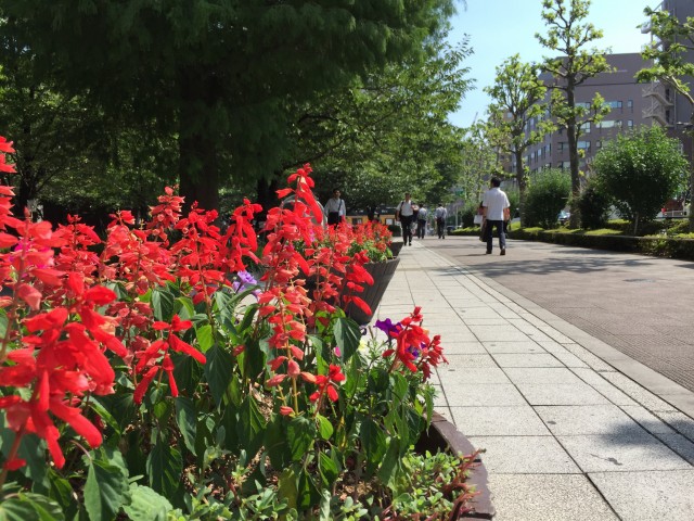 秀和新川レジデンス　周辺環境