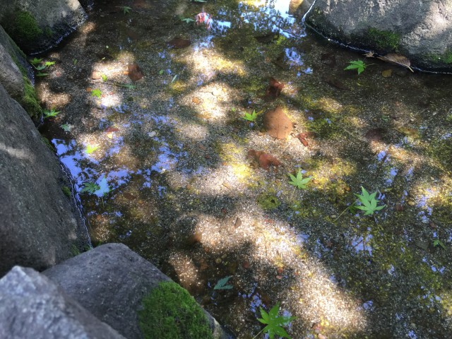 秀和新川レジデンス　周辺環境