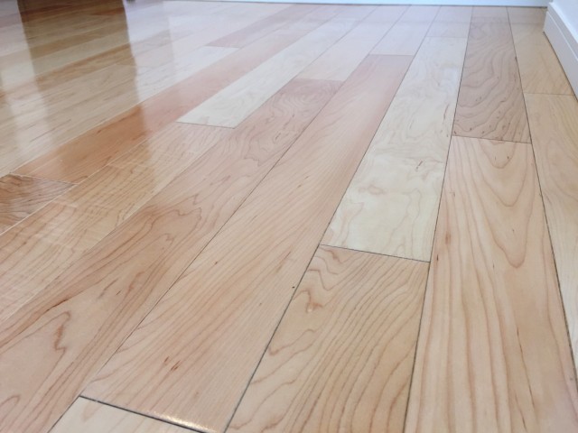 秀和新川レジデンス　洋室約5.2帖