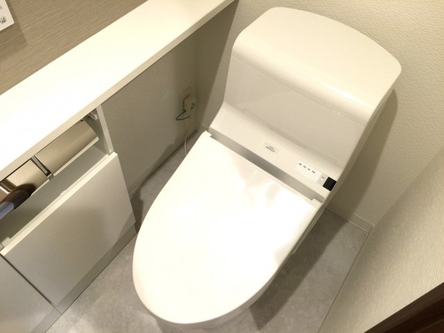 秀和新川レジデンス　トイレ