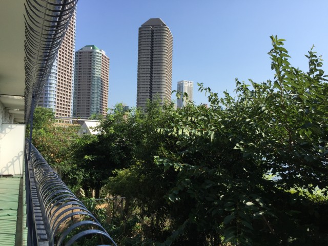 秀和新川レジデンス　眺望