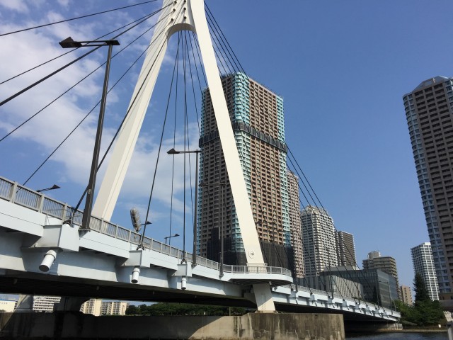 秀和新川レジデンス　周辺環境