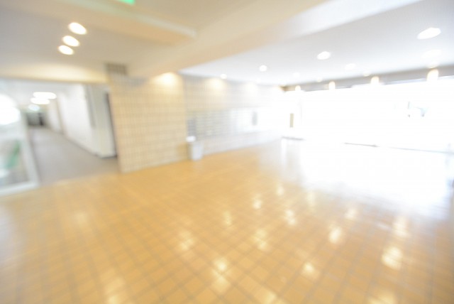 日商岩井豪徳寺マンション (66)　エントランス