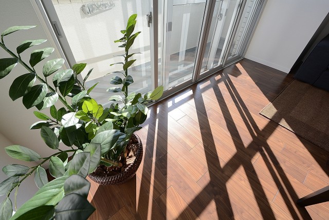 藤和三軒茶屋コープ リビング