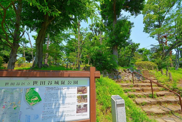 日商岩井豪徳寺マンション (75)　周辺環境