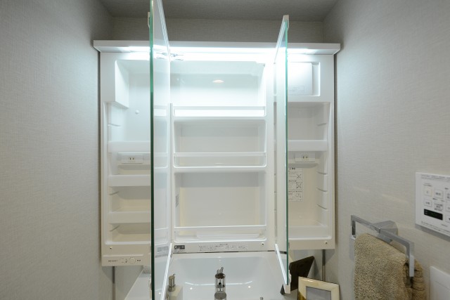 シャトレ市ヶ谷 洗面室