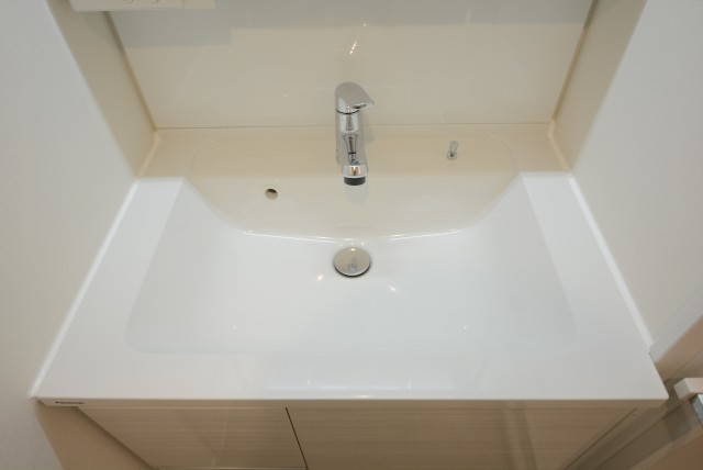 ライオンズマンション池袋 洗面室