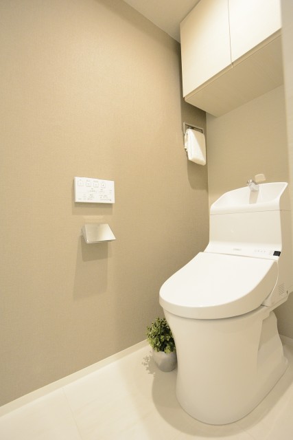 シャトレ市ヶ谷 トイレ