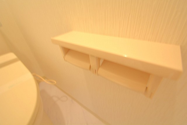 ライオンズマンション飯田橋 トイレ