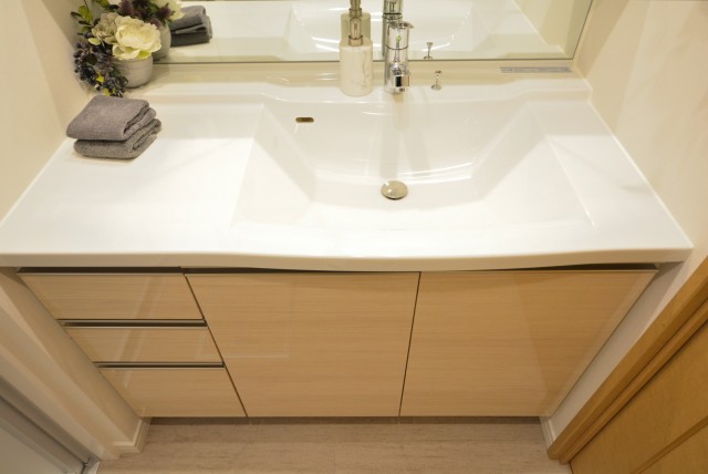 藤和三軒茶屋ホームズ 洗面室