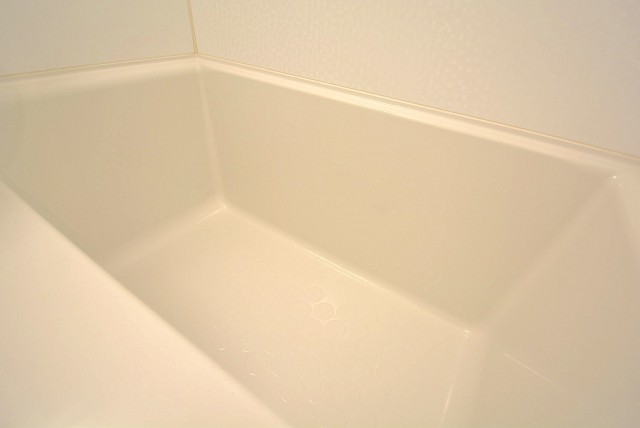 ライオンズマンション飯田橋 ユニットバス