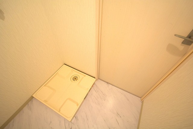 ライオンズマンション飯田橋 脱衣所