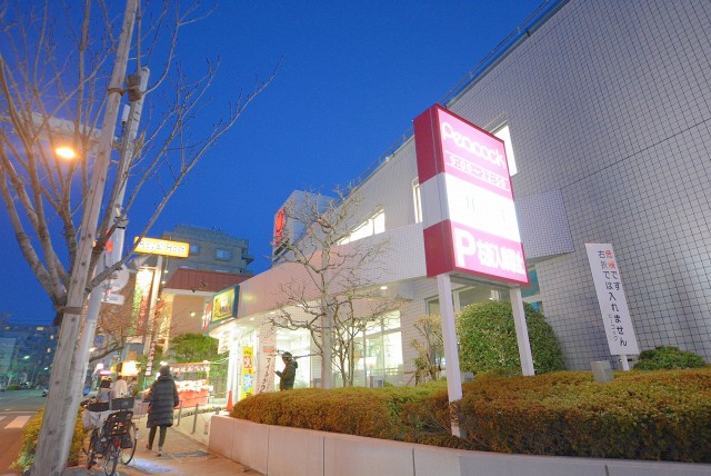 桜新町駅周辺 (23)