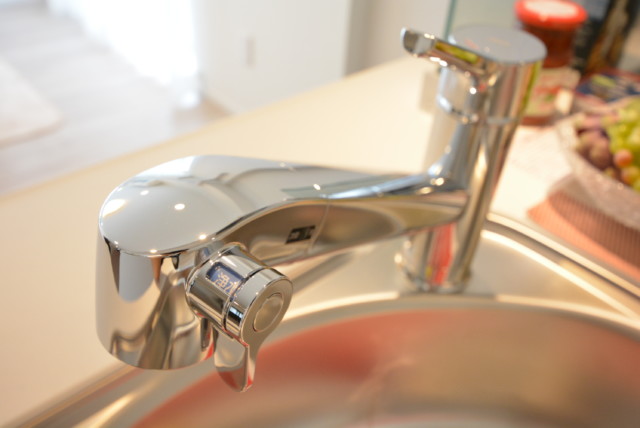 魚菜エステート キッチン