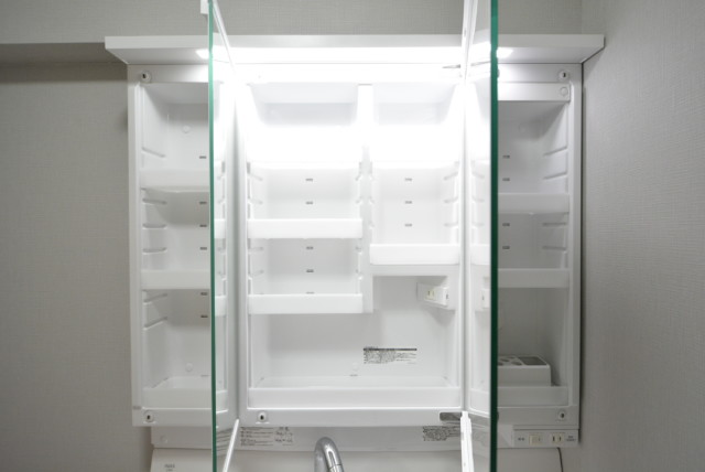 秀和目黒駅前レジデンス 洗面室