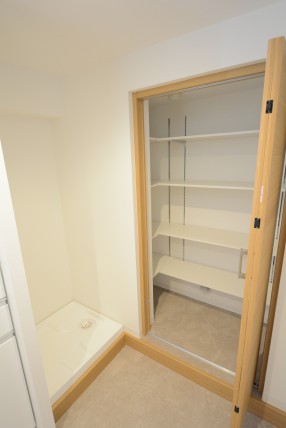 池袋シティハイツ 洗面室