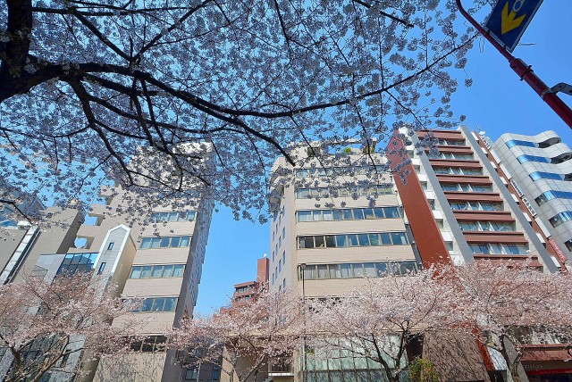 朝日広尾マンション