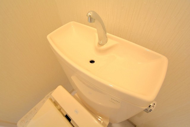 ライオンズマンション飯田橋 トイレ