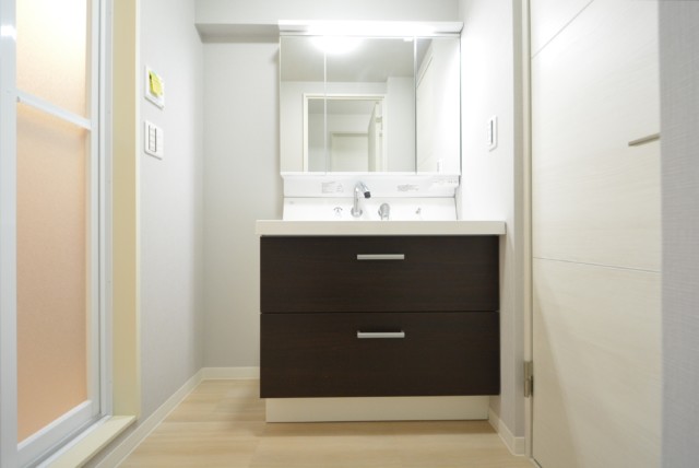 秀和目黒駅前レジデンス 洗面室