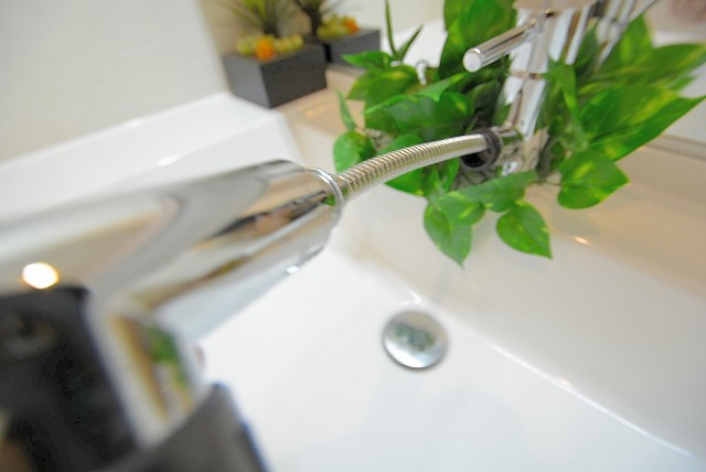 シャンボール尾山台 　洗面