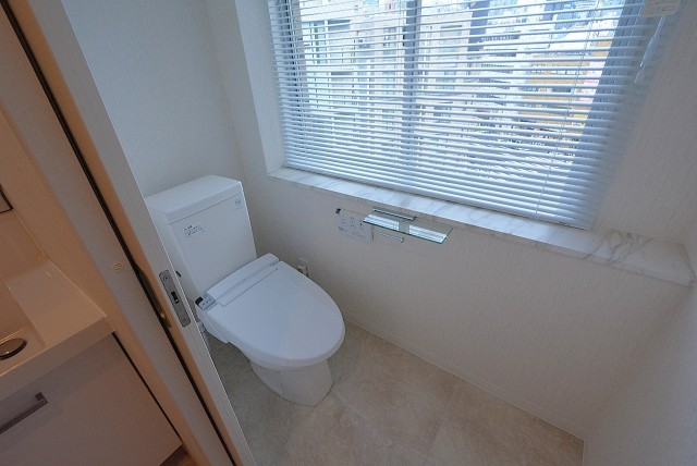 西麻布ハイツ701号室 トイレ (2)