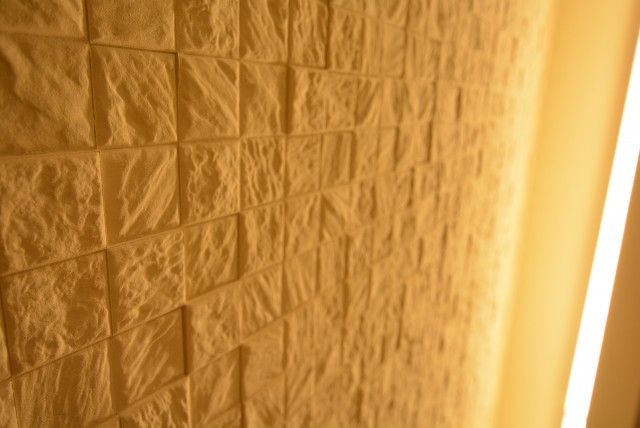 ハイホーム御殿山 玄関