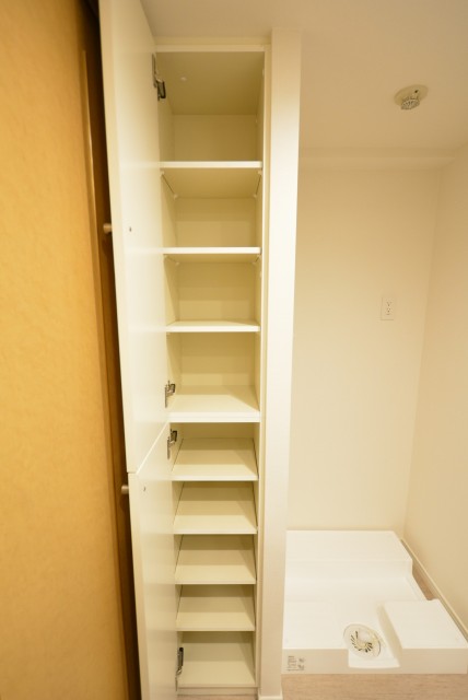 藤和三軒茶屋ホームズ 洗面室