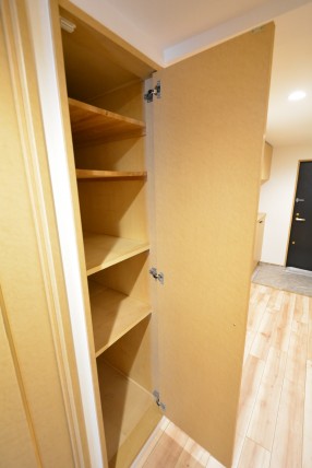 藤和三軒茶屋ホームズ 廊下収納