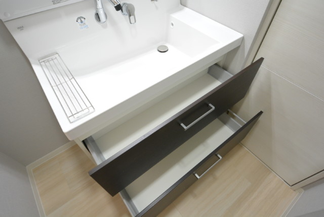 秀和目黒駅前レジデンス 洗面室