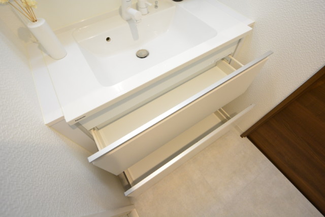 ミサワホームズ東大井 洗面室