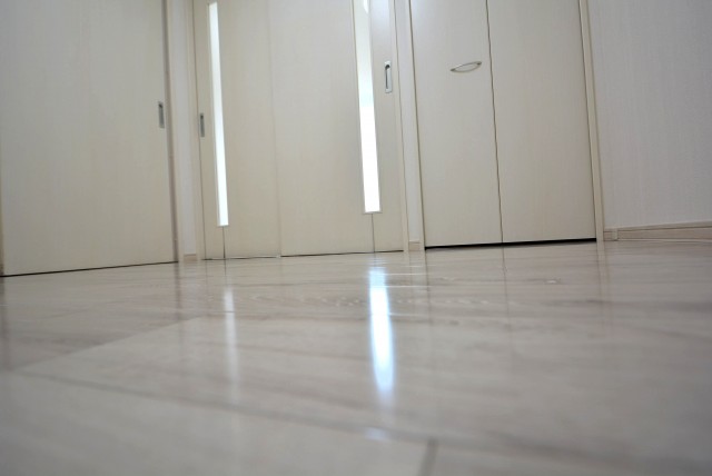 ライオンズマンション飯田橋 洋室