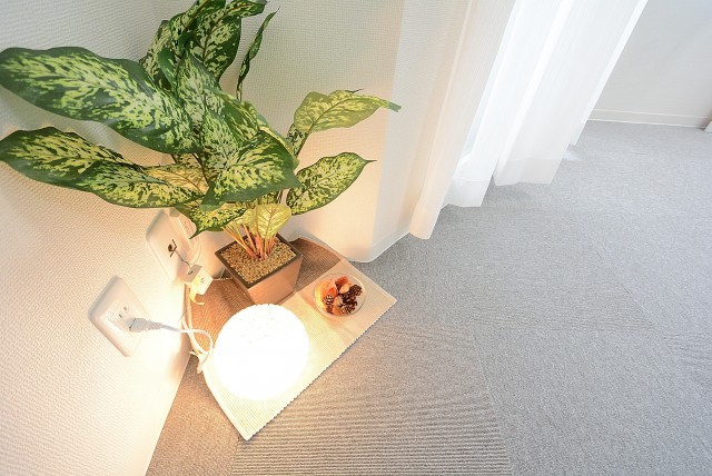 インペリアル赤坂フォラム 洋室