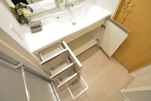 藤和三軒茶屋ホームズ 洗面室