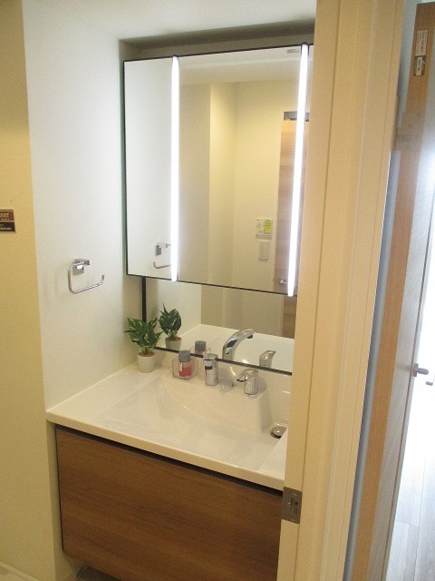 リシェ五反田スカイビュー 洗面