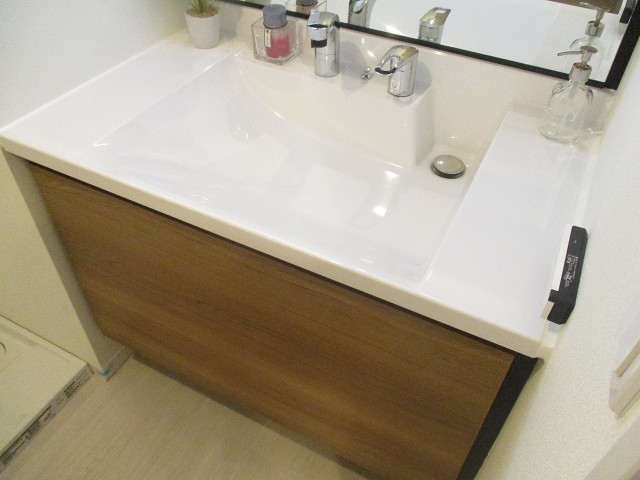 リシェ五反田スカイビュー 洗面