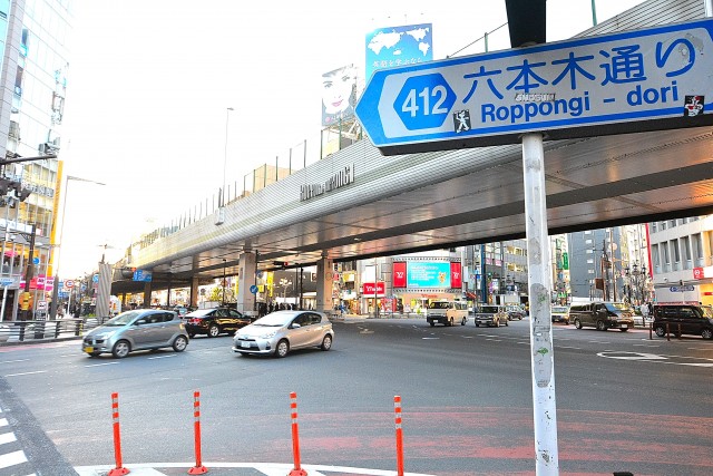 マグノリア　周辺