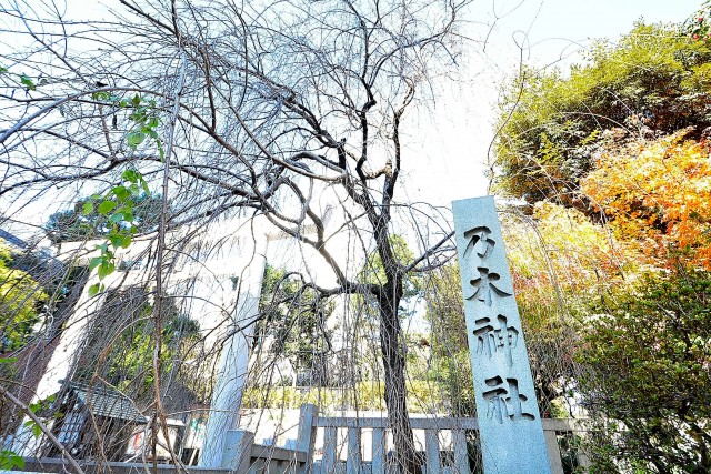 マグノリア　周辺