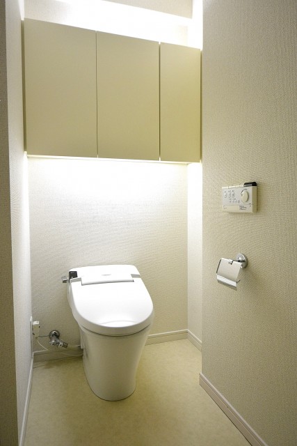 リシェ五反田スカイビュー　トイレ