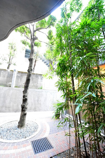 マグノリア　中庭